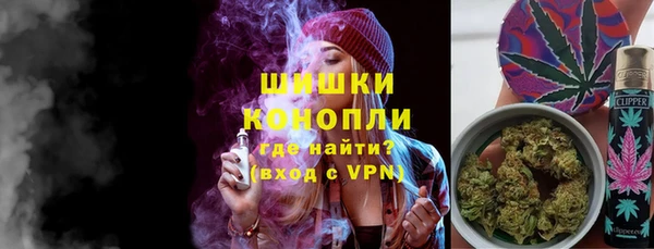 трава Бородино
