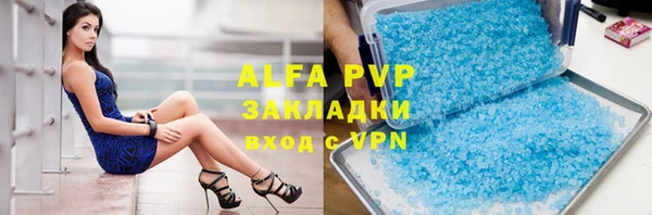 трава Бородино