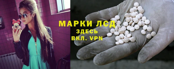 трава Бородино