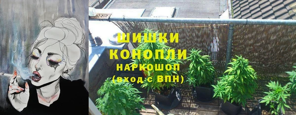 трава Бородино