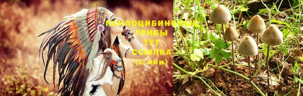 трава Бородино