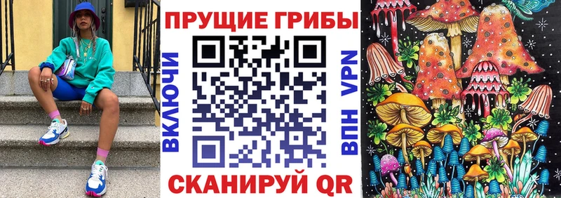 OMG ONION  продажа наркотиков  Дедовск  Галлюциногенные грибы MAGIC MUSHROOMS 